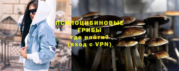 стаф Вязники