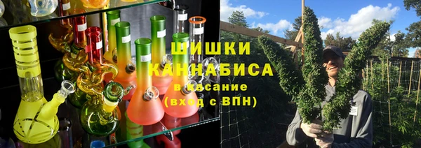 амф Вязьма