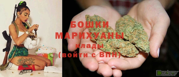 стаф Вязники