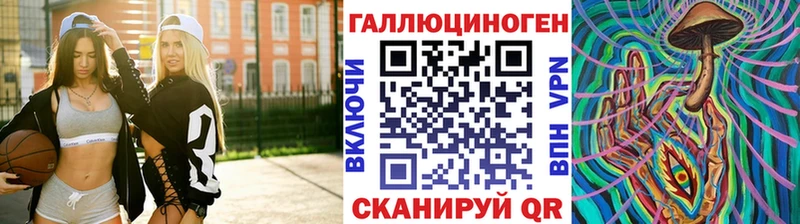 Купить  Обь  Псилоцибиновые грибы Psilocybe 